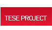 Proyecto TESE